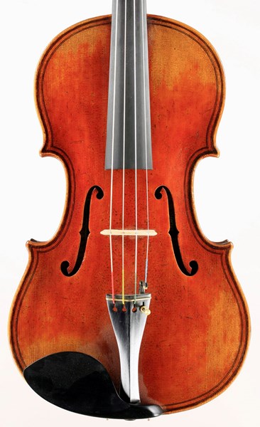 Jay Haide Maggini Model Viola