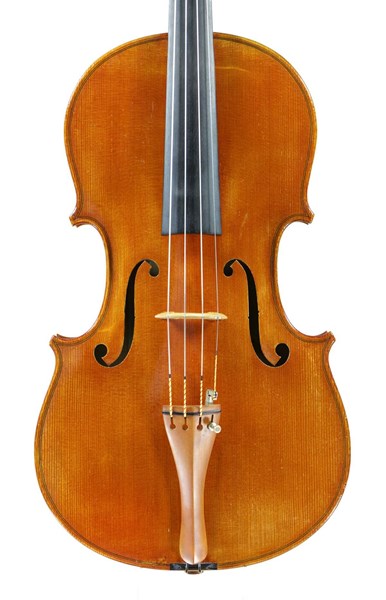 Jay Ifshin 16 ½"
