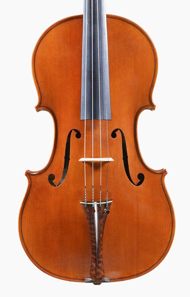 Silvio Levaggi 16 3/8"