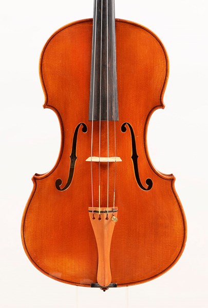 Hal Trepolaury 16 1/2"