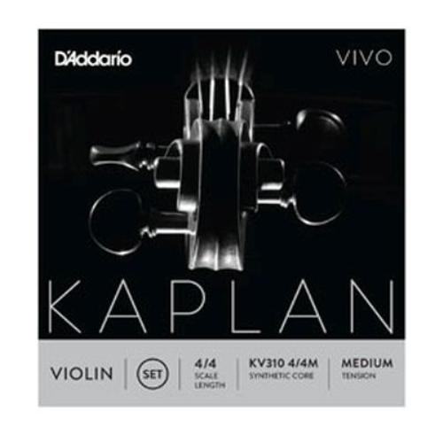 Vivo - Kaplan 4/4 Violin Set