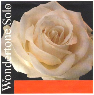 Wondertone Solo Violin Set